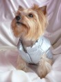 Ręcznie robiona kurtka sportowa www.swiatshihtzu.pl 15.JPG