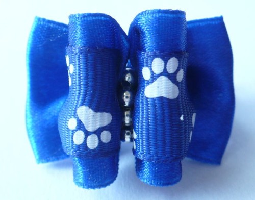 KEN014 swiatshihtzu.pl.JPG