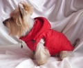 Ręcznie robiona kurtka sportowa www.swiatshihtzu.pl 24.JPG
