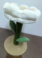 2968 Blossom Bialy (2).jpg