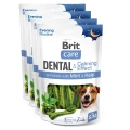 8595602585526-101112555-Brit-Care-Dog-Dental-Toothbrush-Calming-Effect-www.MERDAKI.pl_4PAK.jpg