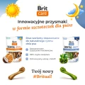 Brit_Care_Rytual_www.MERDAKI.pl_baner2.jpg