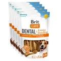 8595602585519-101112554-Brit-Care-Dog-Dental-Toothbrush-Energy-Boosting-www.MERDAKI.pl_5PAK.jpg