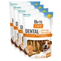8595602585519-101112554-Brit-Care-Dog-Dental-Toothbrush-Energy-Boosting-www.MERDAKI.pl_4PAK.jpg