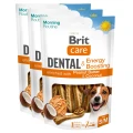 8595602585519-101112554-Brit-Care-Dog-Dental-Toothbrush-Energy-Boosting-www.MERDAKI.pl_3PAK.jpg