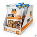 8595602585519-101112554-Brit-Care-Dog-Dental-Toothbrush-Energy-Boosting-www.MERDAKI.pl_ZGRZEWKA2.jpg