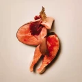 8595602581566-100173711-CARNILOVE-ACTIVE-Cat-Dry-Made-with-Salmon-Turkey-for-All-breed-sterilised-adults_www.MERDAKI.pl_3.webp