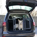 4018653387634-610799-Kerbl-Pet-Aluminiowy-Transporter-dla-Psa-Vacation-do-Samochodu-www.MERDAKI.pl_3.webp