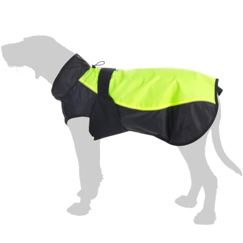 222247_Zooplus_Illume_Nite_Neon_www.MERDAKI.pl_3.webp