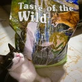 074198612314_rocky-mountain-feline-dry-recipe-www.MERDAKI.pl_8.jpg