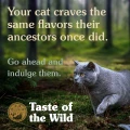 074198612314_rocky-mountain-feline-dry-recipe-www.MERDAKI.pl_6.jpg