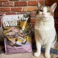 074198614424-lowland-creek-dry-feline-recipe-www.MERDAKI.pl_7.jpg