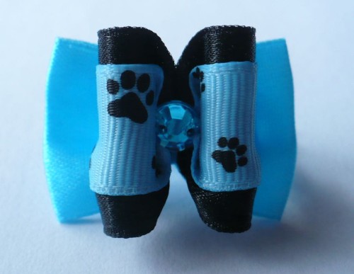 KEN009 swiatshihtzu.pl.JPG