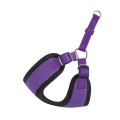 Chaba-Szelki-Regulowane-Comfort-Fresh-40cm-fioletowe-www.swiatshihtzu.pl.2.jpg
