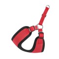 Chaba-Szelki-Regulowane-Comfort-Fresh-S-40cm-Czerwone-www.swiatshihtzu.pl.2.jpg