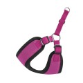 Chaba-Szelki-Regulowane-Comfort-Fresh-S-40cm-fuksja-www.swiatshihtzu.pl.2.jpg