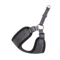 Chaba-Szelki-Regulowane-Comfort-Fresh-S-40cm-grafitowe-www.swiatshihtzu.pl.2.jpg