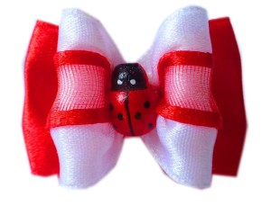 Kokardka Exclusive biedronka KEC015