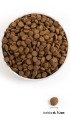 Acana-Regionals-Wild-Prairie-Dog-340g-www.swiatshihtzu.pl.3.jpg