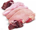 Brit-Pate-Meat-Puppy-www.swiatshihtzu.pl.6.jpg