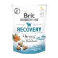 Brit-Care-Dog-Functional-Snack-Recovery-Herring-150g-www.shopfordog.pl.1.jpg