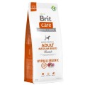 Brit-Care-Dog-Hypoallergenic-Adult-Medium-Breed-Lamb-www.shopfordog.pl.12kg.jpg