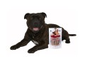 Magnum-Duck-sandwich-80g-www.shopfordog.pl.4.jpg