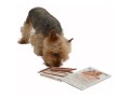 Magnum-Chicken-Sandwich-80g-www.shopfordog.pl.3.jpg