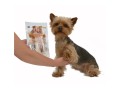 Magnum-Chicken-Sandwich-80g-www.shopfordog.pl.2.jpg