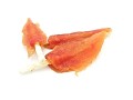 Magnum-Chicken-Breast-on-Rawhide-Stick-250g-www.shopfordog.pl.7.jpg