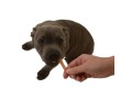 Magnum-Chicken-Slice-Soft-80g-www.shopfordog.pl.4.jpg