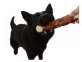 Magnum-Duck-roll-on-Rawhide stick-170g-www.shopfordog.pl.3.jpg