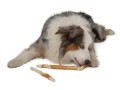Magnum-Chicken-Roll-on-Rawhide Stick-500g-www.shopfordog.pl.3.jpg
