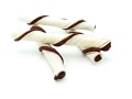 Magnum-Rawhide-Roll-Stick-Brown-White-www.shopfordog.pl.6.jpg