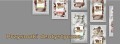 Magnum-przysmaki-dentystyczne-www.shopfordog.pl.baner.jpg