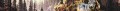 karmy-carnilove-dla-psa-www.shopfordog.pl-baner7.jpg