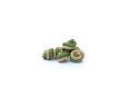 Magnum-Semi-Moist-Knotted-Stick-Green-White-750g-www.shopfordog.pl-2.jpg