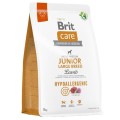 Brit-Care-Dog-Hypoallergenic-Junior-Large-Breed-Lamb-www.shopfordog.pl.3kg.jpg
