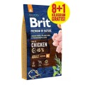 i-brit-premium-by-nature-adult-m-8kg-1kg-www.shopfordog.pl.1.jpg