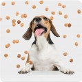 trixie-przysmaki-dla-psa-kuleczki-z-kaczka-i-ryzem-premio-80-g-www.shopfordog.pl-8.jpg