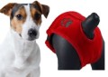 Grande-Finale-Majtki-na-cieczke-czerwone-BUNNY-www.shopfordog.pl-5.jpg