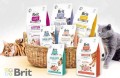 Brit-Care-Cat-Grain-Free-Insect-Herring-Sensitive-400g-www.shopfordof.pl-baner4.jpg