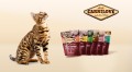 Carnilove-Cat-Duck-Turkey-for-Large-Breed-www.shopfordog.pl-baner6.jpg