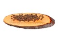 Carnilove-Cat-salmon-www.shopfordog.pl-2.jpg