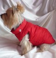 Ręcznie robiona kurtka sportowa www.swiatshihtzu.pl 28.JPG