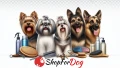 artykulydopielegnacji-www.shopfordog.pl-baner2.jpg