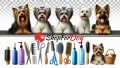 artykulydopielegnacji-www.shopfordog.pl-baner1.jpg