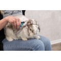 TX-2360-trixie-nozyczki-pielegnacyjne-8cm-www.shopfordog.pl-8.jpg