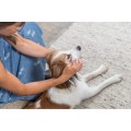 TX-29415-trixie-chusteczki-nawilzane-do-oczu-30-pcs-www.shopfordog.pl-2.jpg