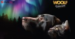 Woolf-Ultimate-Soft-Dog-www.shopfordog.pl-baner-1-logo.jpg